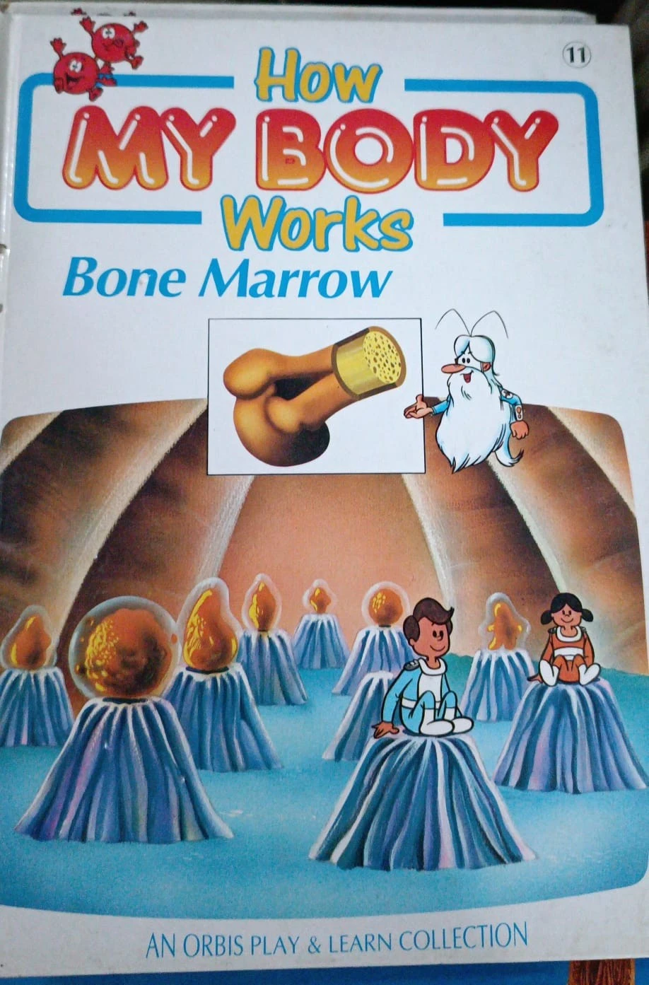 HOW MY BODY WORKS BONE MARROW